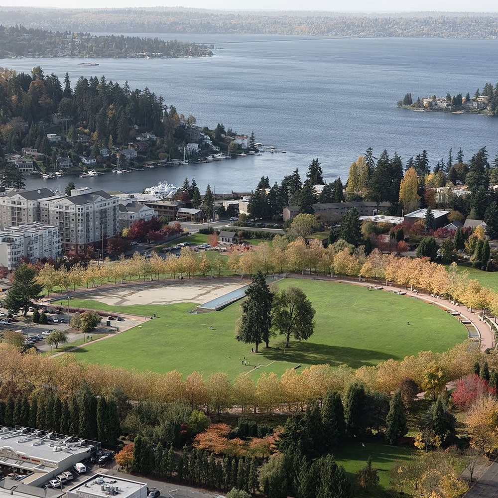 Bellevue