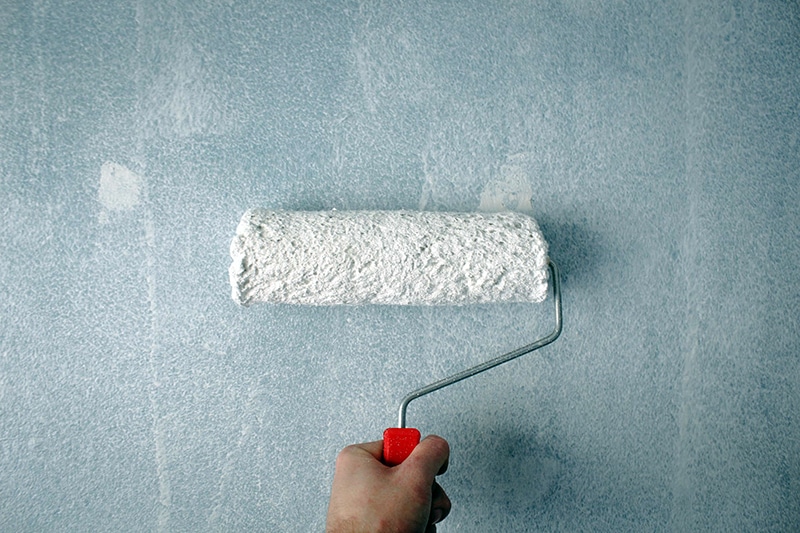 Lead abatement (white paint roller)