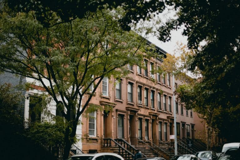 Preservation inventories (Harlem apartment)