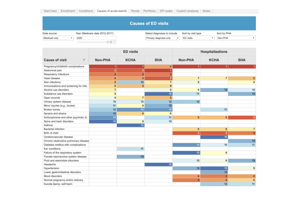 Visualization of reasons for emergency department visits.