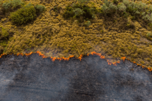 Wildfires are shown to illustrate climate change
